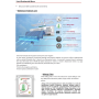 Climatizzatore monosplit LG da 12000 Btu DUALCOOL AI Special Inverter con WiFi in R32 in classe A++ 