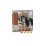 Maxiflame MX135/1 Modulo Interfaccia Caldaia-Termoprodotto fino a 30 kW  Cod. 135107