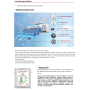 Climatizzatore LG 12000 DUALCOOL Deluxe H12S1D.NS1 Inverter R32 A+++