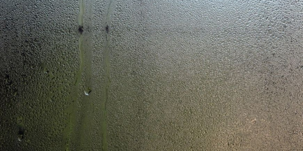 Come prevenire l’umidità sui muri?